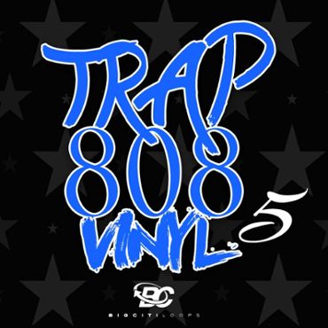 Trap 808 Vinyl 5