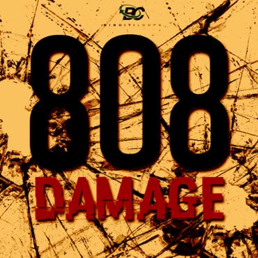 808 Damage