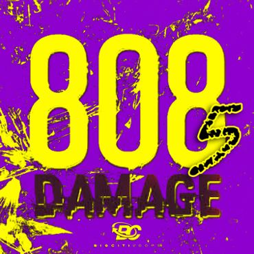 808 Damage 5