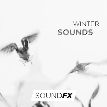 Winter Sounds