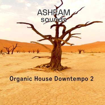 Organic House Downtempo 2