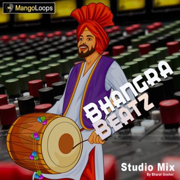 Bhangra Beatz: Studio Mix