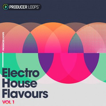 Electro House Flavours Vol 1