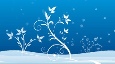 Winter Background