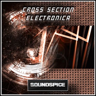 Cross Section Electronica