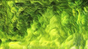 Abstract grass background