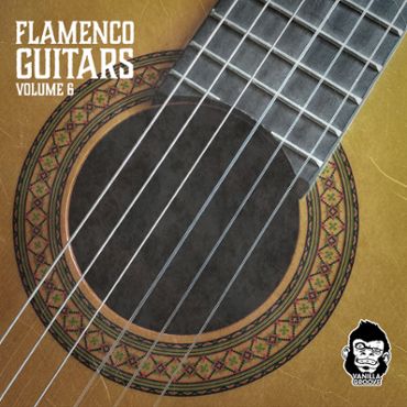 Flamenco Guitars Vol 6