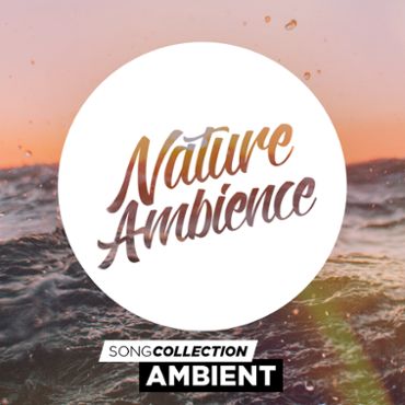 Nature Ambience