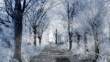 Winter scenery