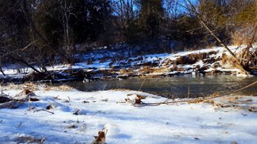 River in Winter