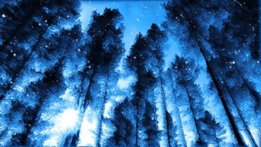 Dreamy winter background