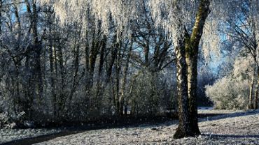 Winter scenery