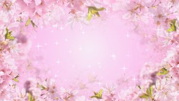 Pink Blossoms
