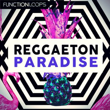 Reggaeton Paradise