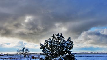 Snowy Landscape