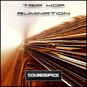 Trip Hop Rumination