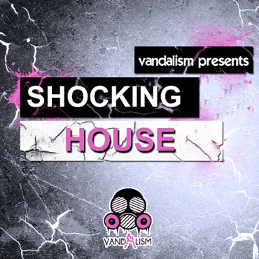 Shocking House