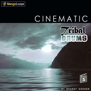 Cinematic Tribal Drums Vol 5