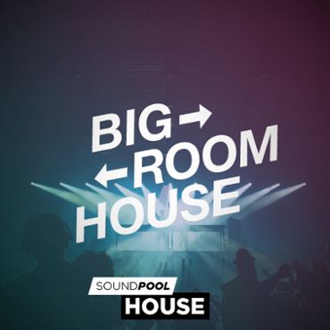 Big Room House