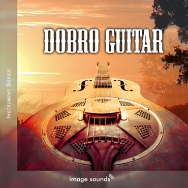 Dobro Guitar