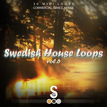 Swedish House Loops Vol 6