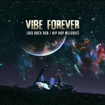 Vibe Forever: Laid Back R&amp;B/Hip Hop Melodies