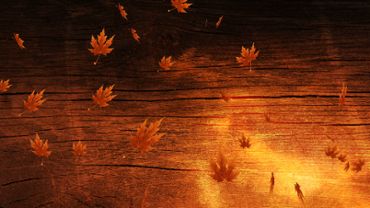 Autumn background