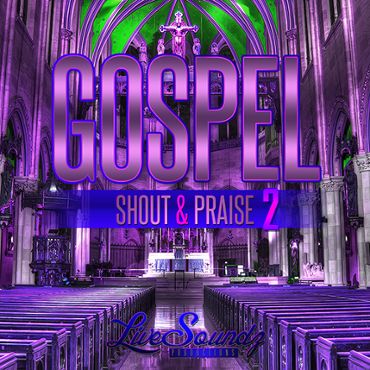 Gospel Shout & Praise Vol 2