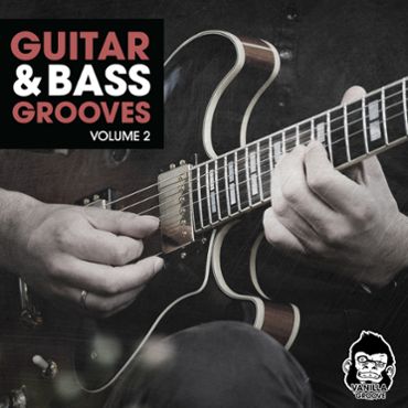 Guitar and Bass Grooves Vol 2