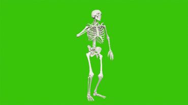Skeleton Dancing