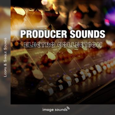 Producer Sounds Electro Collection