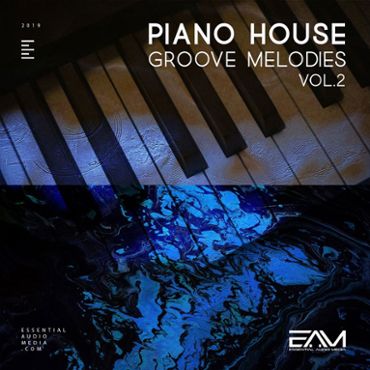 Piano House Groove Melodies Vol 2