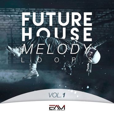 Future House Melody Loops Vol 1