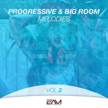 Progressive & Big Room Melodies Vol 2