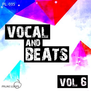 Vocals And Beats Vol 6