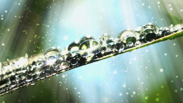 Magic Droplets