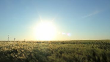 Sun over the fields