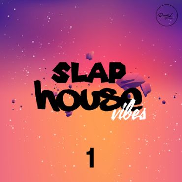 Slap House Vibes Vol 1