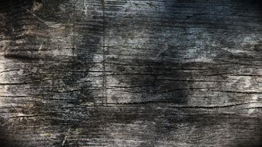 Wooden background