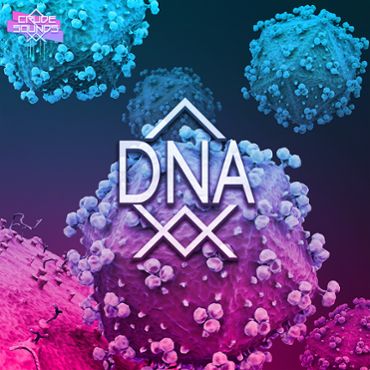 Crude Sounds: DNA