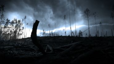 Lightning storm and trees