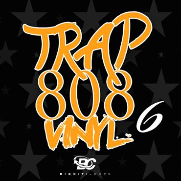 Trap 808 Vinyl 6