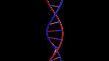 DNA Animation HD 3