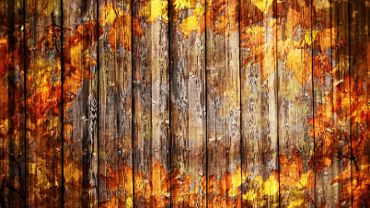 Wooden Autumn Background