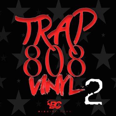 Trap 808 Vinyl 2