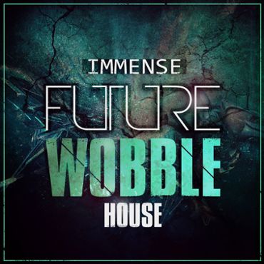 Immense Future Wobble House