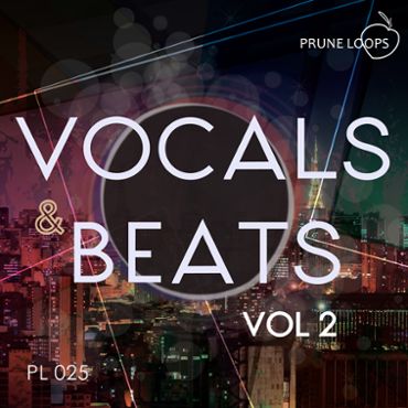 Vocals And Beats Vol 2