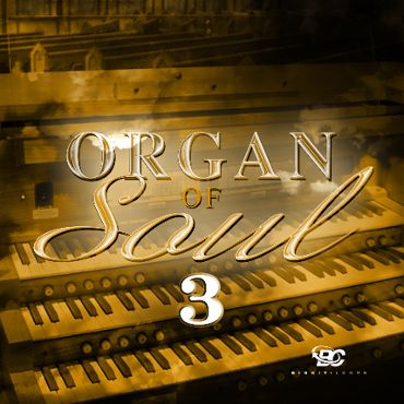 Organ Of Soul 3