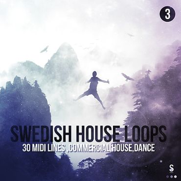 Swedish House Loops Vol 3
