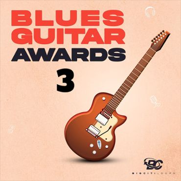 Blues Guitar Awards 3